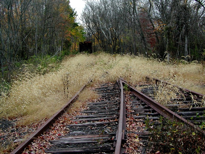 Abondoned tracks Hunterdon Cty, NJ        