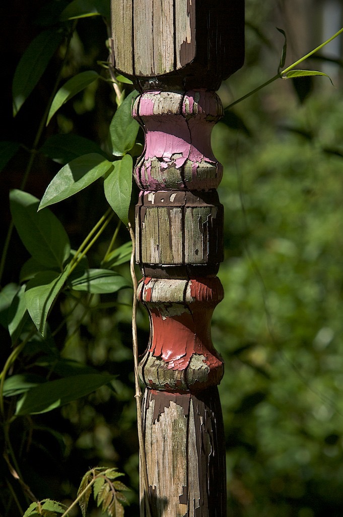 Casa Feliz - Gate (2)
