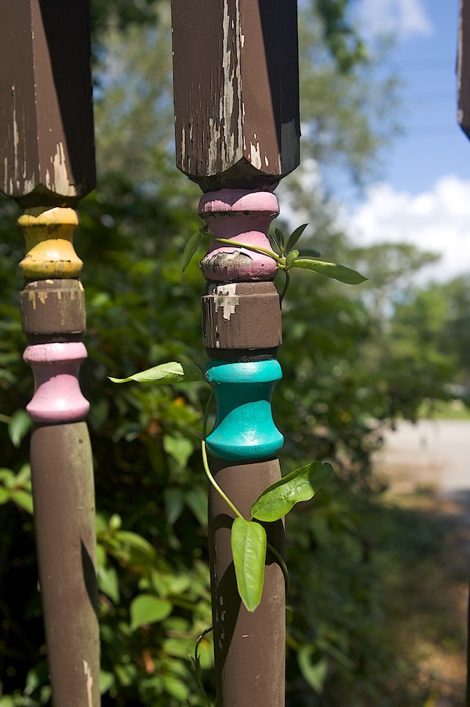 Casa Feliz - Vine (1)