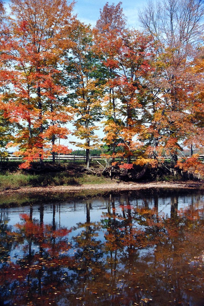 Fall reflections on the Lamington River, NJ