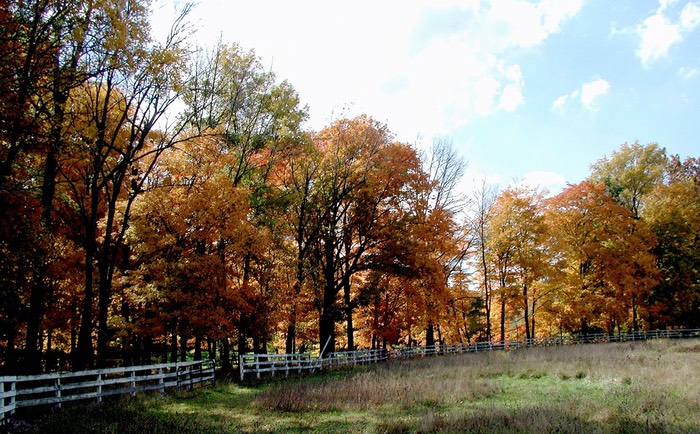 Fence line New Jersey