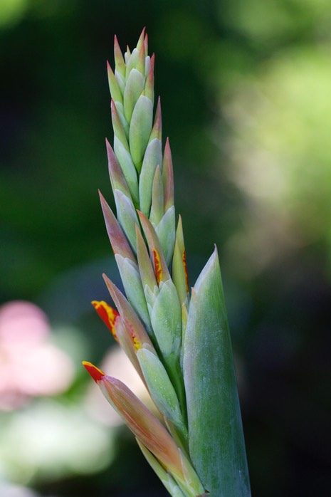 IV2T1463 - Version 2