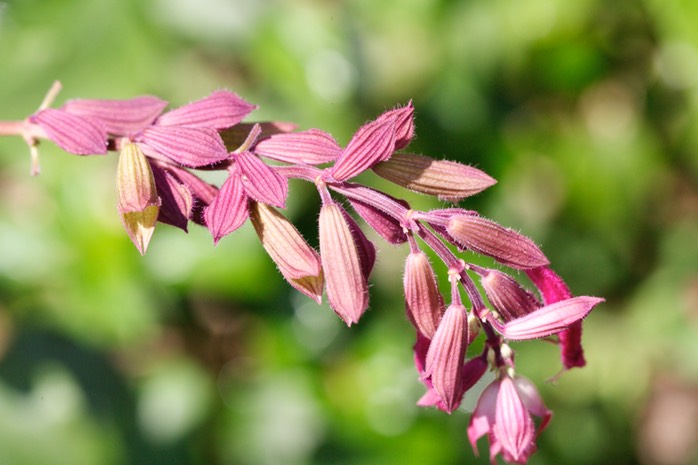 IV2T1702 - Version 2