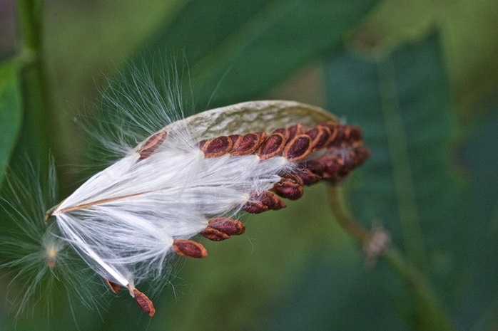 IV2T3762 - Version 2