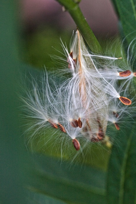 IV2T3764 - Version 2