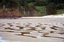 Low tide area Cannon Beach
