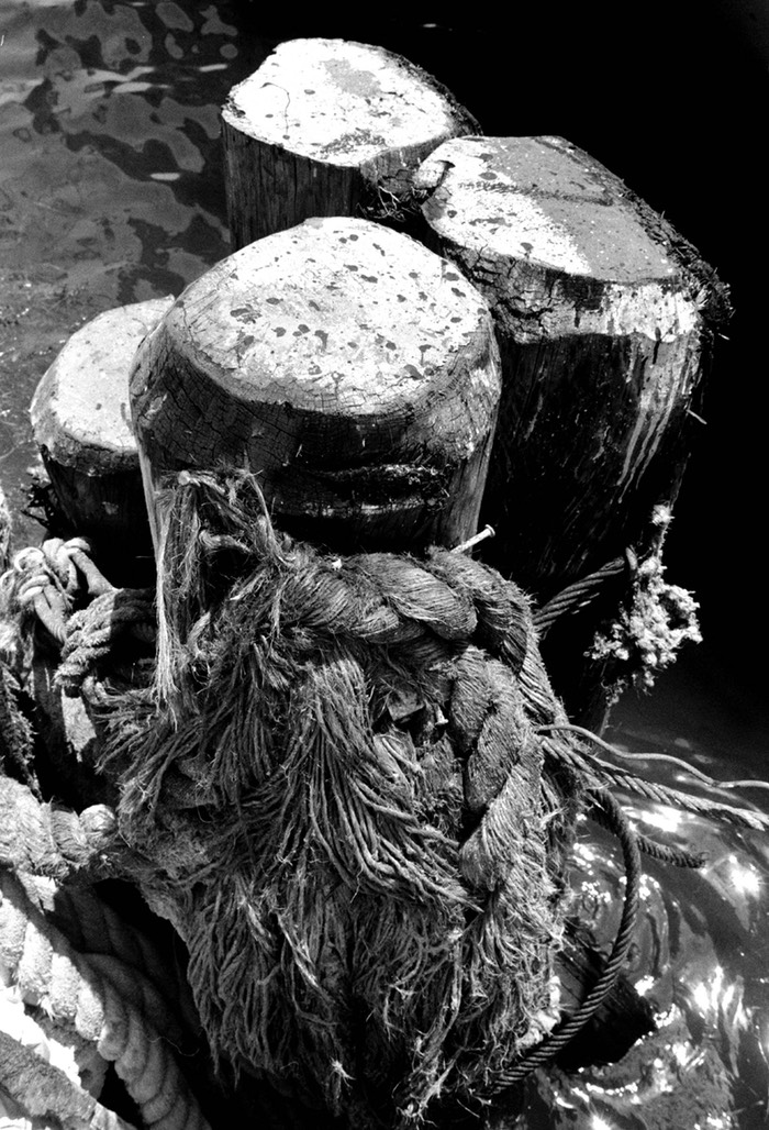 Marine Pilings and Hawser Miami Harbor