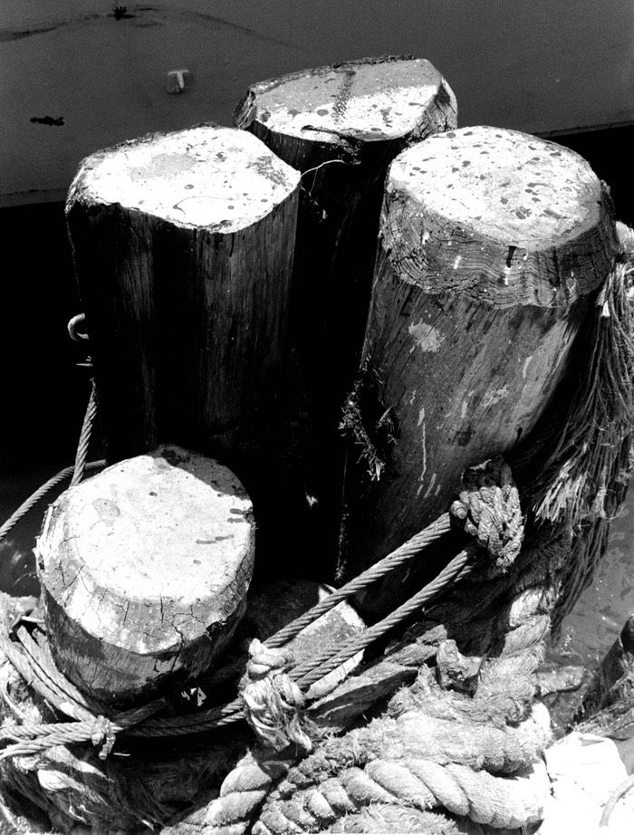 Marine Pilings Miami Harbor