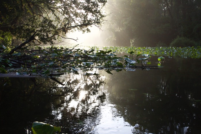 Mist Rock Springs Run