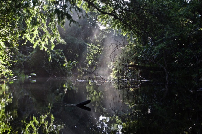 Morning Peace Rock Springs Run