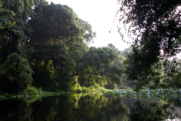 Morning Rock Springs Run