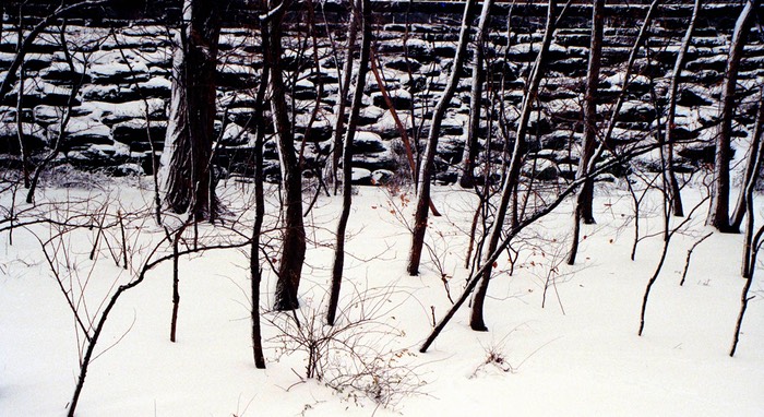 Riverside Park in Winter