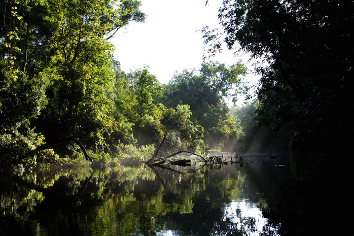 Rock Springs Run #12