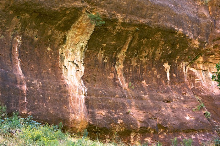 Scoured wall Sinawava Canyon