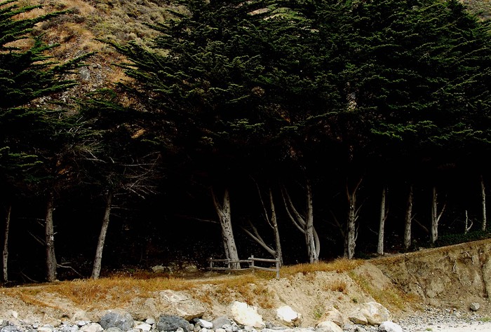 Shoreline east Stinson Beach      