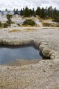 Spring by Firehole River