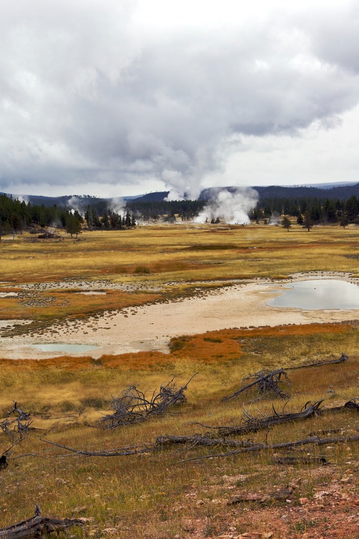 Steam scenes Pocket Basin