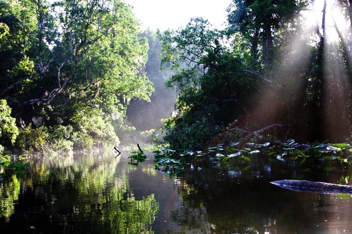 Sunbeams Rock Springs Run