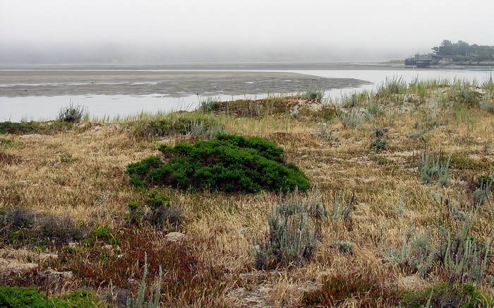The Lagoon, Stinson Beach        
