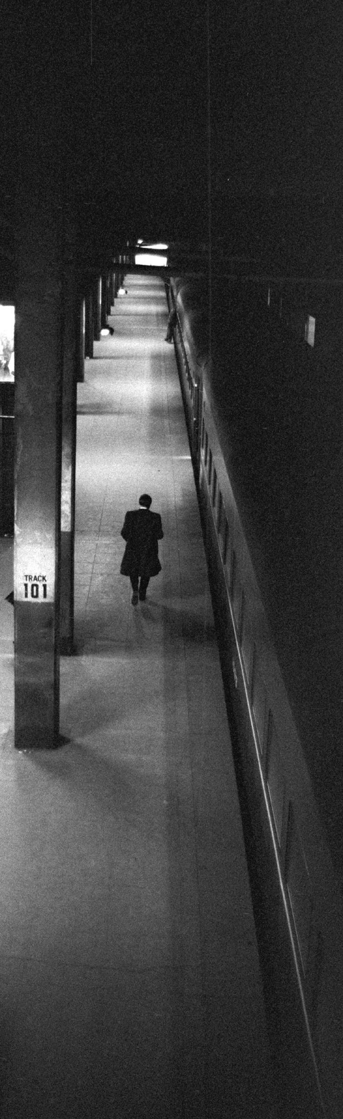 Track 101 Platform Grand Central Station - Terry Bleser Illustration