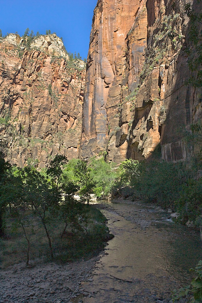 Virgin River Temple of Sinawava