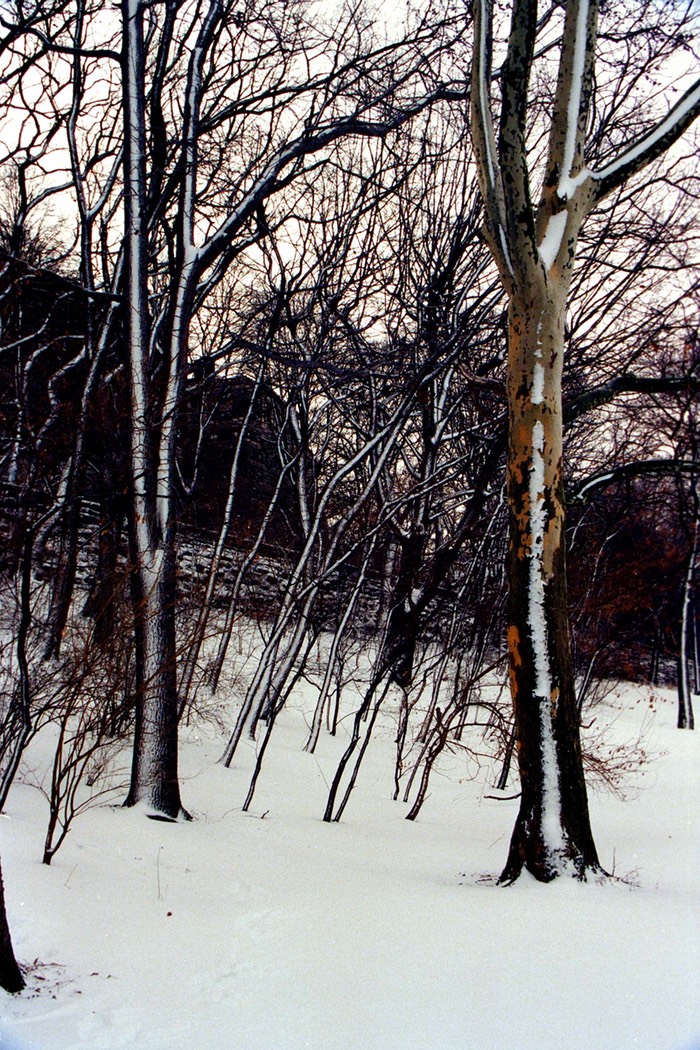 Wind driven snow Riverside Park, NY