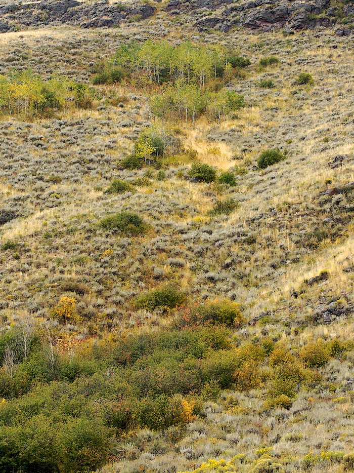 Wyoming Hillside